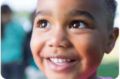 Treehouse Secondary Image